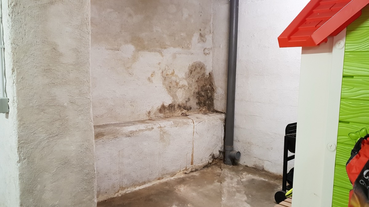 Infiltrations d'eau - Expertise humidité à Besançon